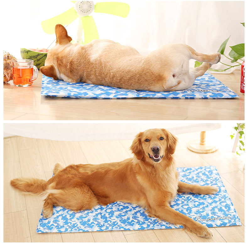 Tapis de Glace pour Chien