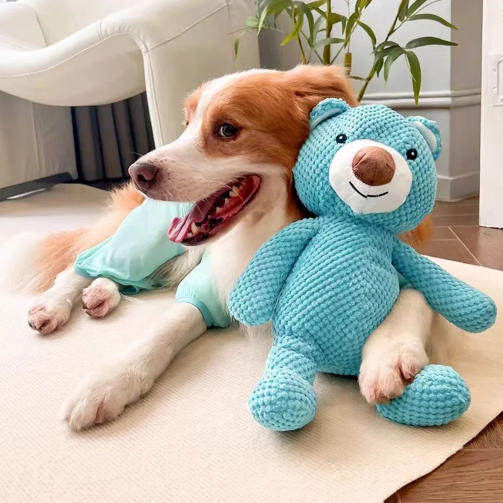 Jouet Squeaky en Peluche pour Chiens - Ours en Peluche