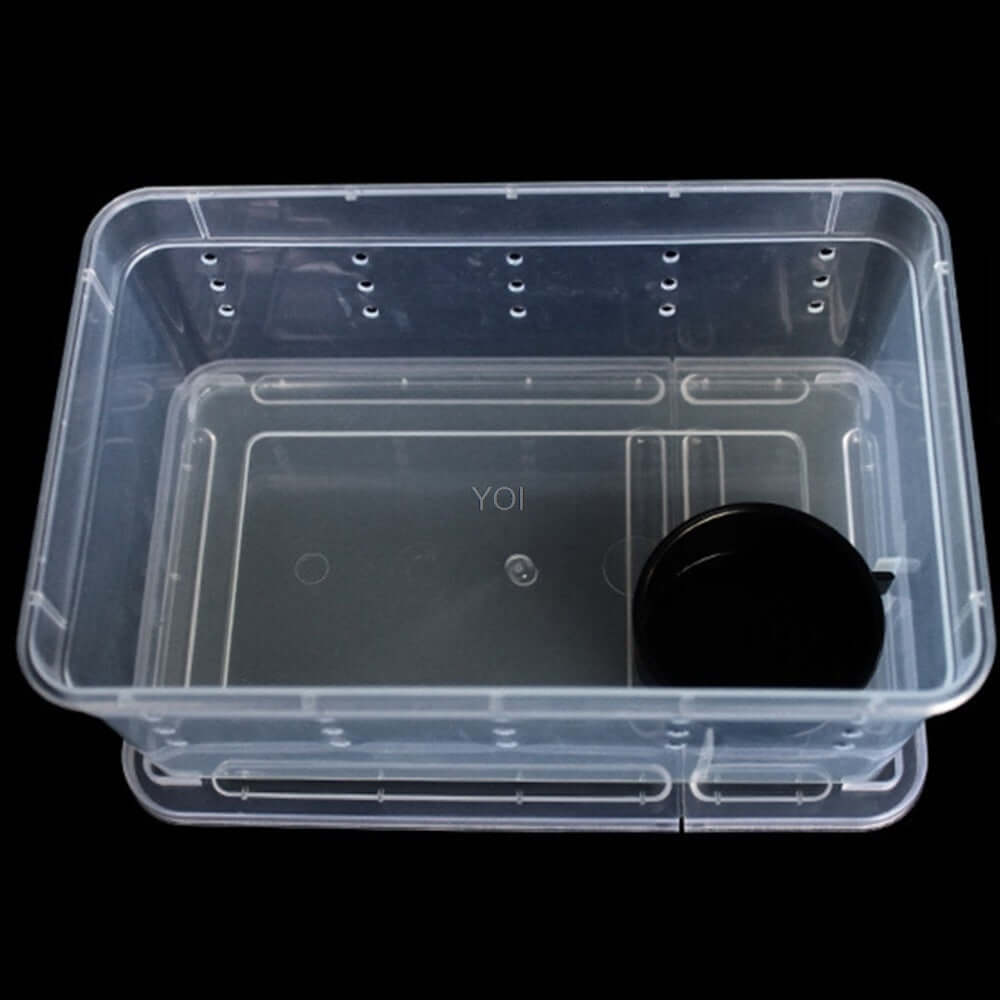 Boîte de nourriture transparente pour reptiles, légère et durable, idéale pour transporter et nourrir vos animaux.