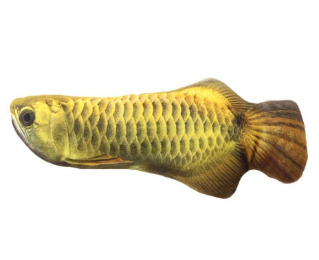 Jouet en Peluche Poisson en Herbe à Chat