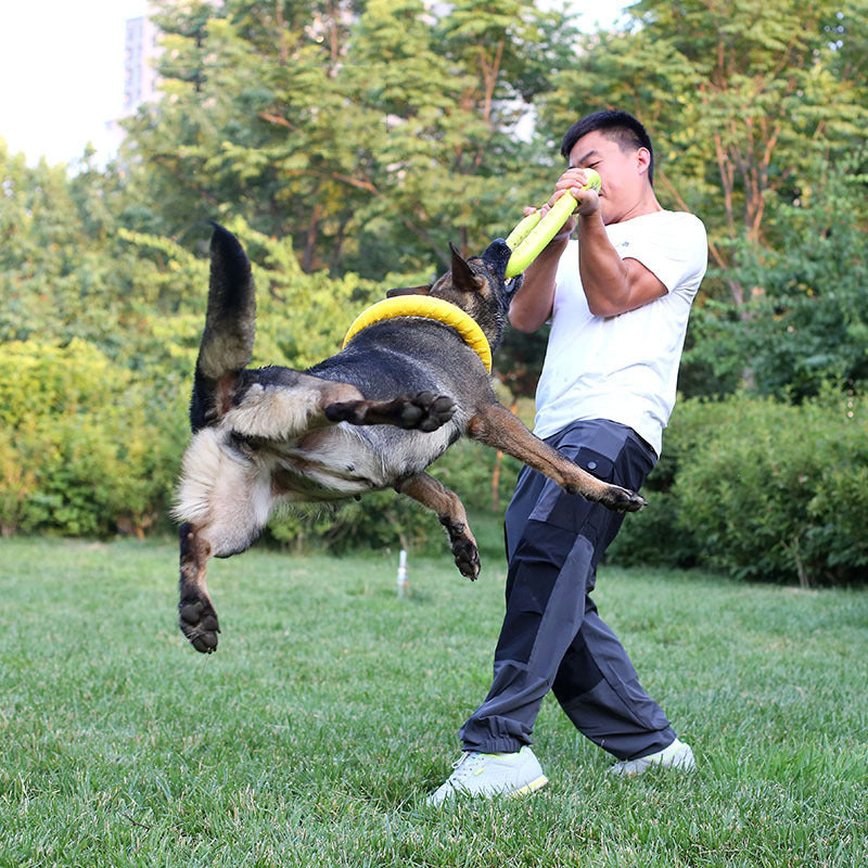 Jouet de Formation pour Chien en Anneau de Tir