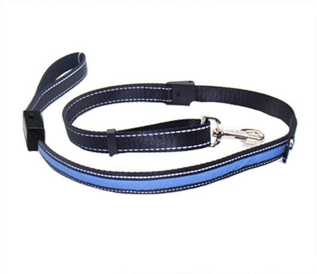 Laisse pour chien en nylon noire et bleu, idéale pour promenade et sécurité, accessoire pour animaux.