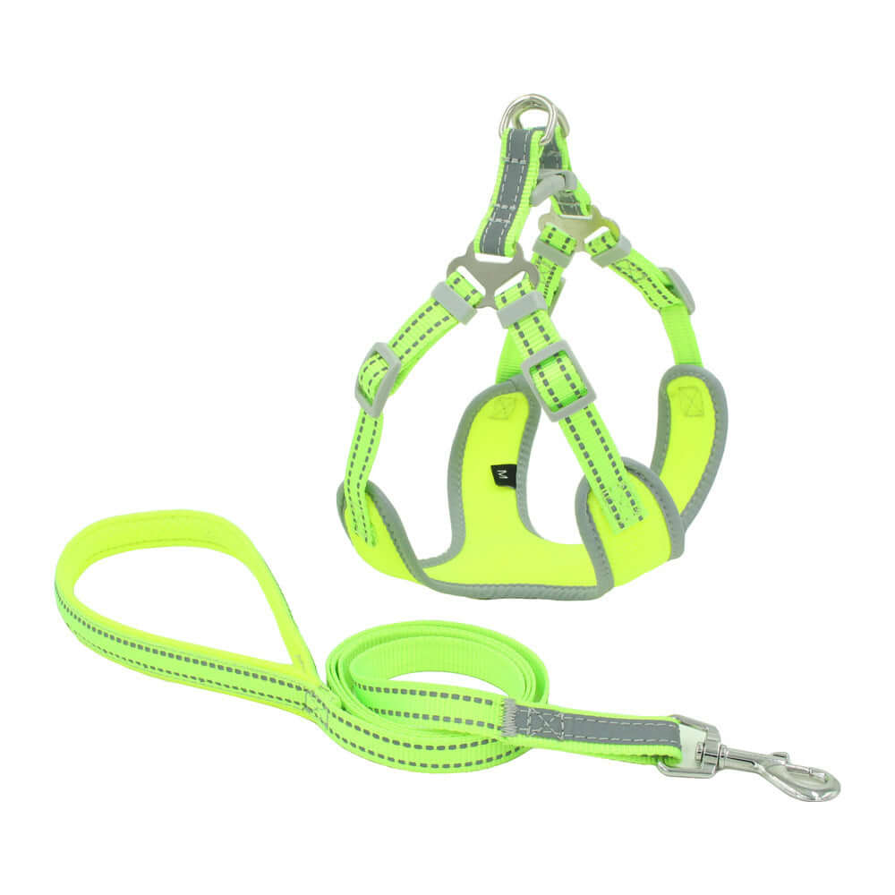 Harnais pour chien en maille réfléchissante, ajustable, avec laisse assortie en vert fluo, conçu pour la sécurité et le confort.