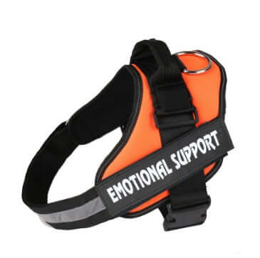 Harnais de poitrine orange pour chien avec étiquette 'Emotional Support', conçu pour confort et sécurité.