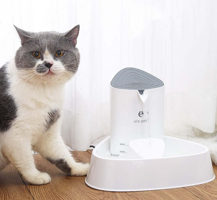 Distributeur d'eau pour chiens et chats avec un chat gris à poil court à côté, idéal pour la santé animale.