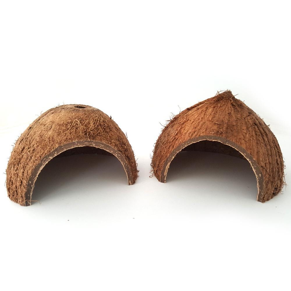 Cocon de Cachette Naturel pour Reptiles en Coquille de Coco
