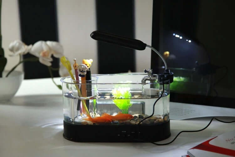 Mini aquarium USB sur un bureau avec horloge, décoratif et pratique pour l'organisation du travail.