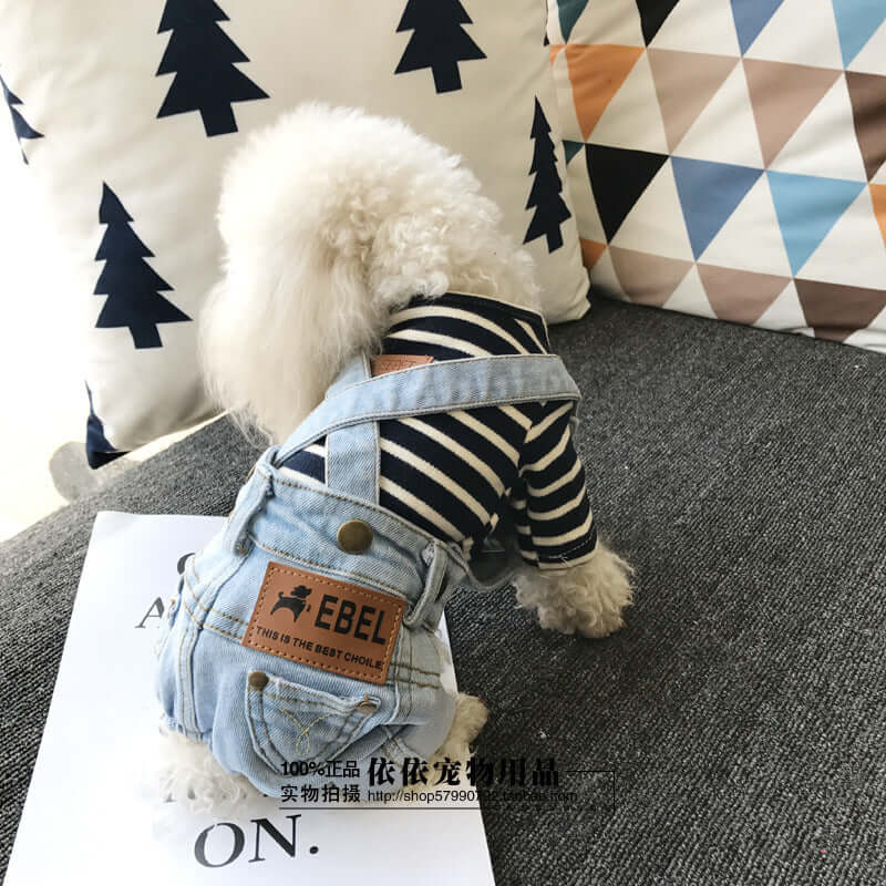 Chien portant des pantalons salopette en denim sur un canapé, combiné avec un pull rayé.