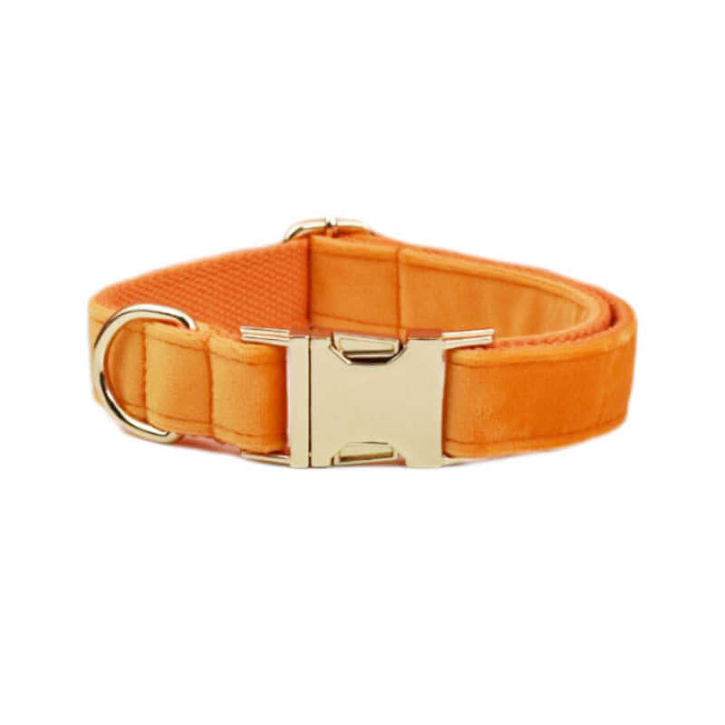 Collier en velours orange pour chien avec boucle dorée, accessoire élégant et confortable.