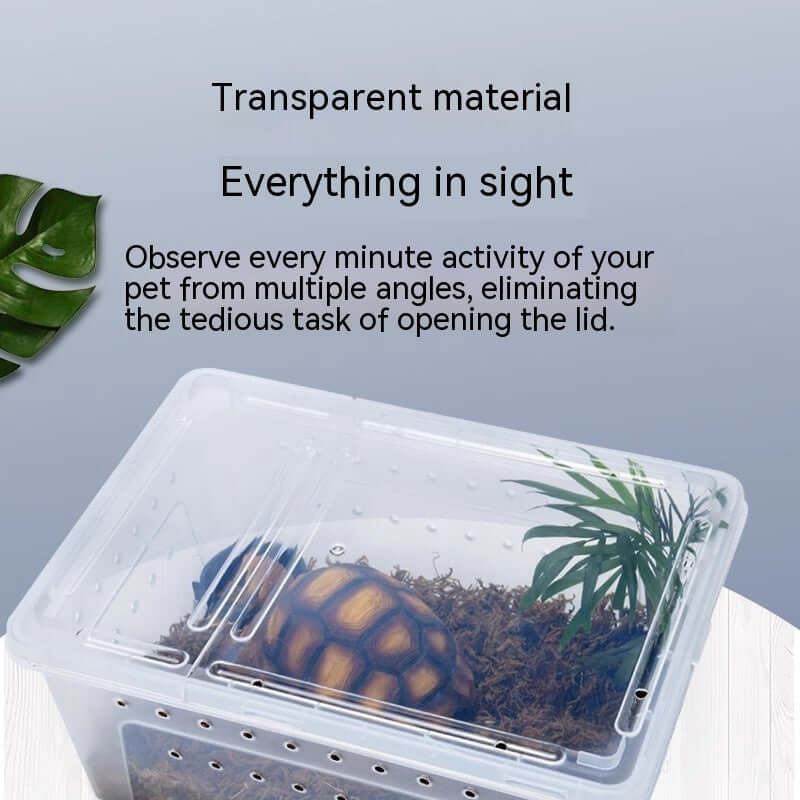 Boîte de nourriture pour tortue transparente, offrant une vue claire sur votre animal avec un design pratique.
