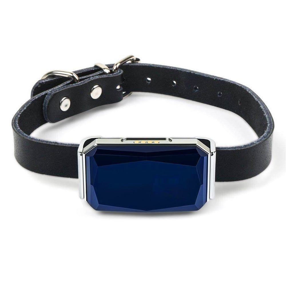 Traceur GPS multifonctionnel pour animaux avec collier noir et logo en bleu, adapté pour chiens et chats.