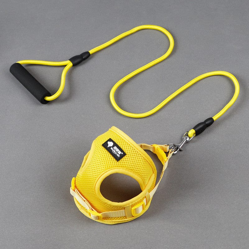 Laisse et collier pour chien en nylon et mousse, confort et sécurité pour les promenades.