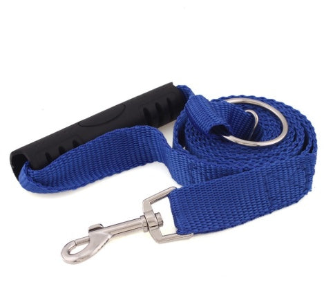 Laisse instantanée pour chien en bleu, idéale pour l'éducation anti-tirage lors des promenades.