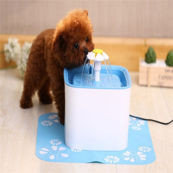 Charming puppy enjoying water from an automatic water dispenser for pets.