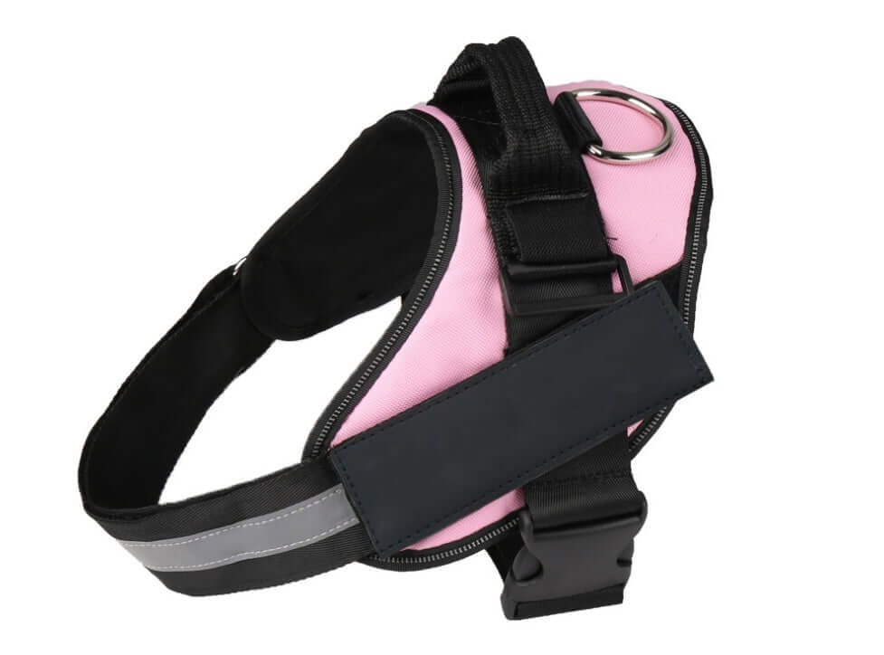 Harnais pour chien en nylon rose avec laisse, conçu pour le confort et la sécurité des animaux de compagnie.