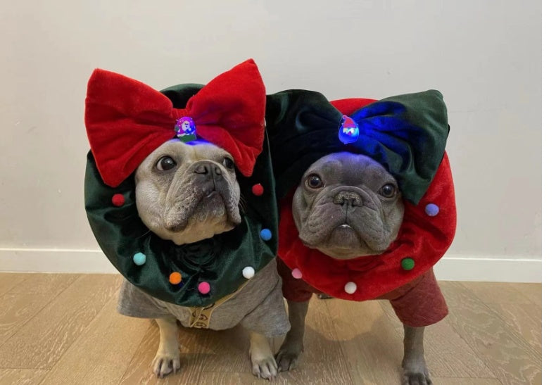 Deux chiens français portant des ornements de Noël colorés avec des nœuds, ajoutant une touche festive aux fêtes.