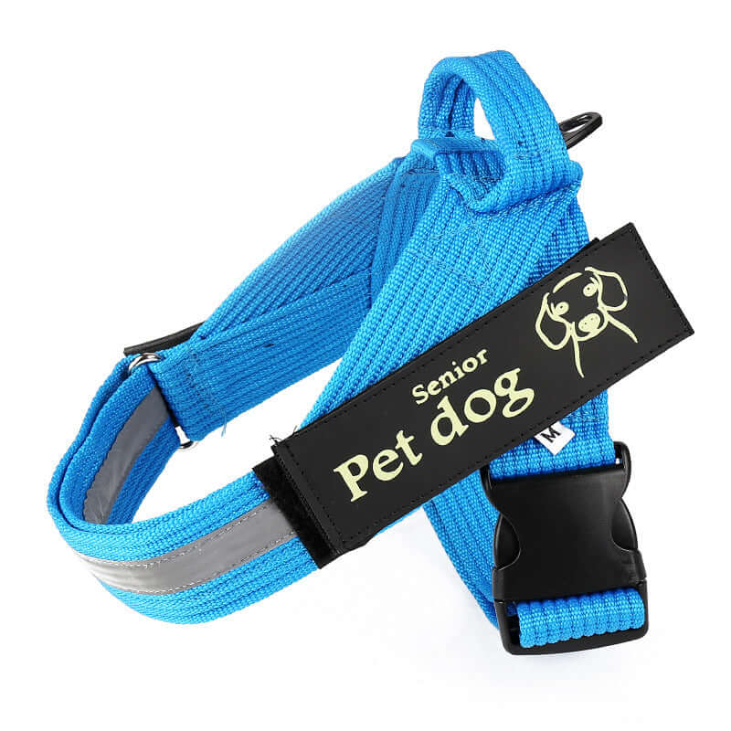 Laisse et harnais en nylon bleu pour chien, conçu pour le confort et la sécurité lors des promenades.