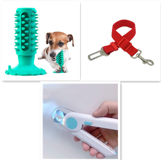 Brosse à Dents pour Chien Stick Molaire