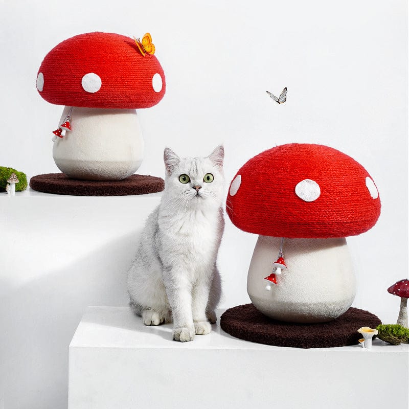 Chat gris devant une planche à gratter en forme de champignon rouge, décorative et interactive pour animaux.