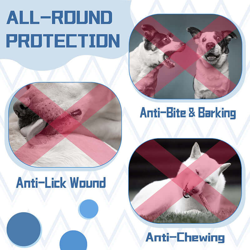 Infographic depicting anti-bite, anti-lick, and anti-chewing protection for dogs.