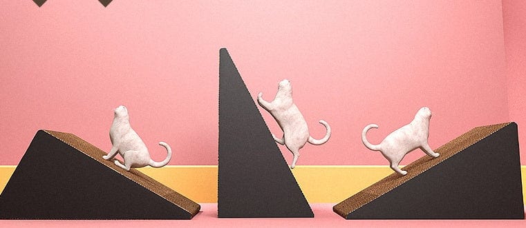 Chat grattant sur une planche à gratter verticale en papier ondulé dans un intérieur coloré.