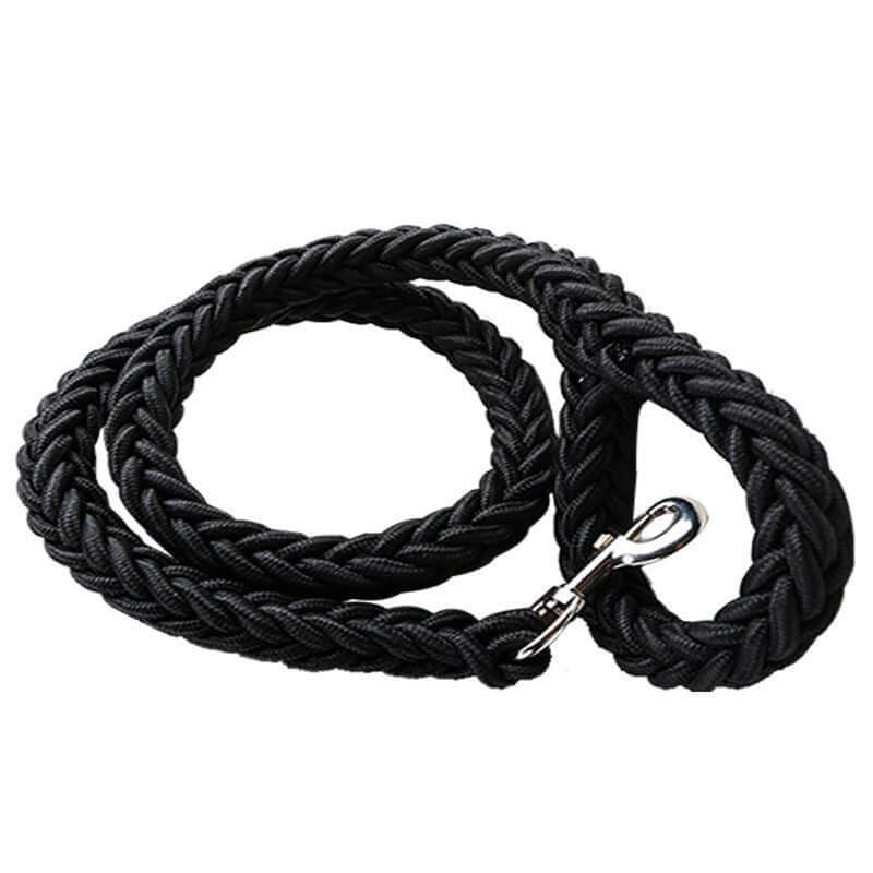 Laisse en nylon tressé noir pour chien, durable et résistante, parfaite pour les promenades et aventures en plein air.