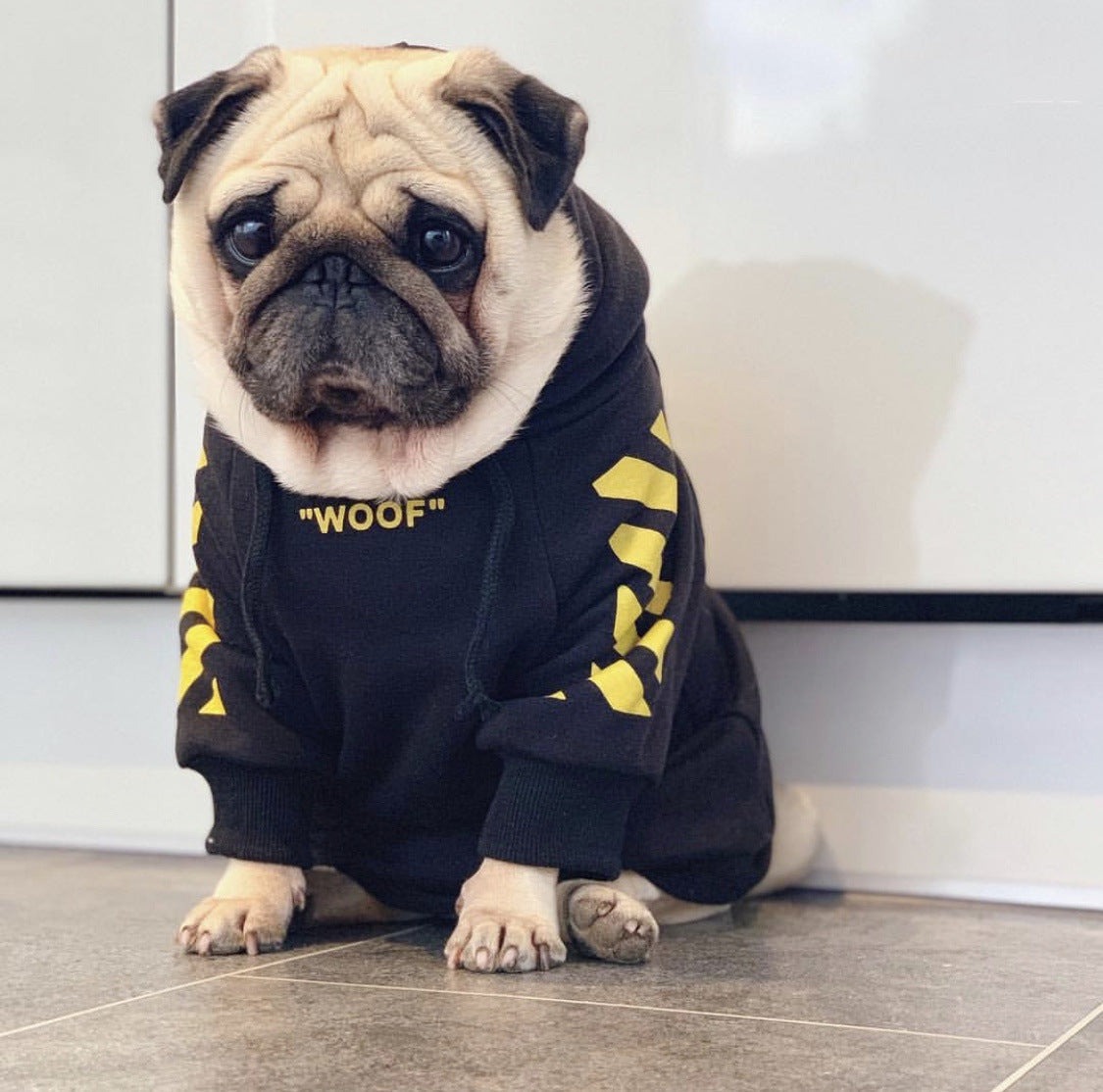 Chien bulldog français portant un pull noir avec inscriptions "WOOF" et motifs jaunes, assis sur le sol.