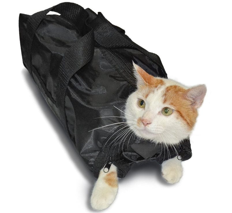 Sac de bain pour animaux avec un chat blanc et orange à l'intérieur, idéal pour le toilettage et le transport.