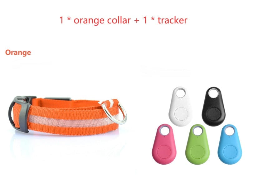 Collier orange pour chien avec tracker, accessoires animaux de compagnie, sécurité nocturne.