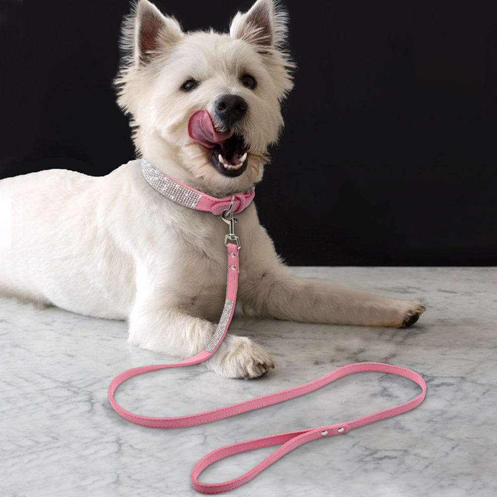 Chien avec collier Hot Dog Brillant en strass et laisse rose sur fond marbré.