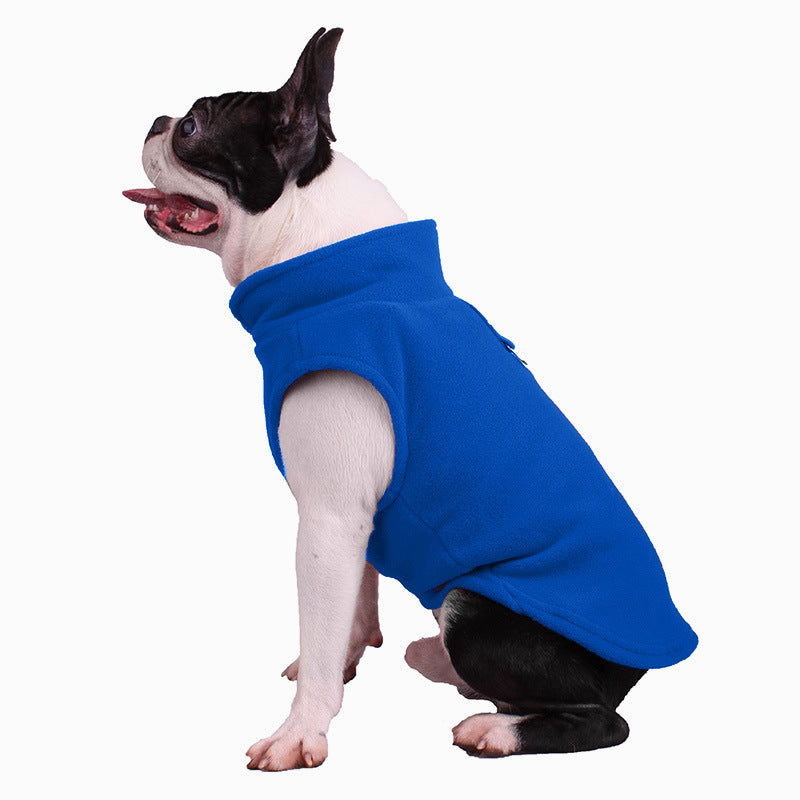 Chien assis portant un pull en fleece bleu, confortable et élégant pour les journées fraîches.