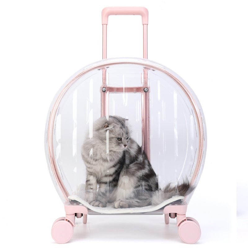 Sac à chat transparent avec poignée renforcée, offrant sécurité et confort pour votre animal.