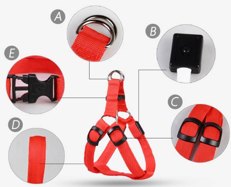 Harnais lumineux pour chien rouge avec détails et fonctionnalités, parfait pour la sécurité lors des promenades nocturnes.