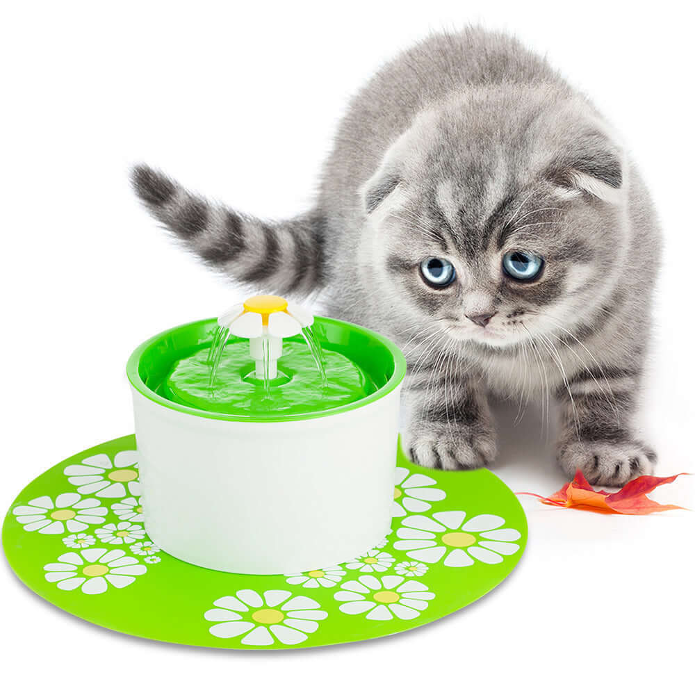 Chat curieux près d'une fontaine à eau électrique verte pour une hydratation optimale des félins.