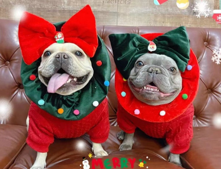 Deux chiens de race bulldog français en costumes de Noël festifs avec des nœuds en velours et des pompons.