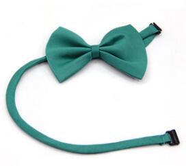 Nœud papillon simple en couleur teal pour animaux, parfait pour les occasions spéciales ou le quotidien.