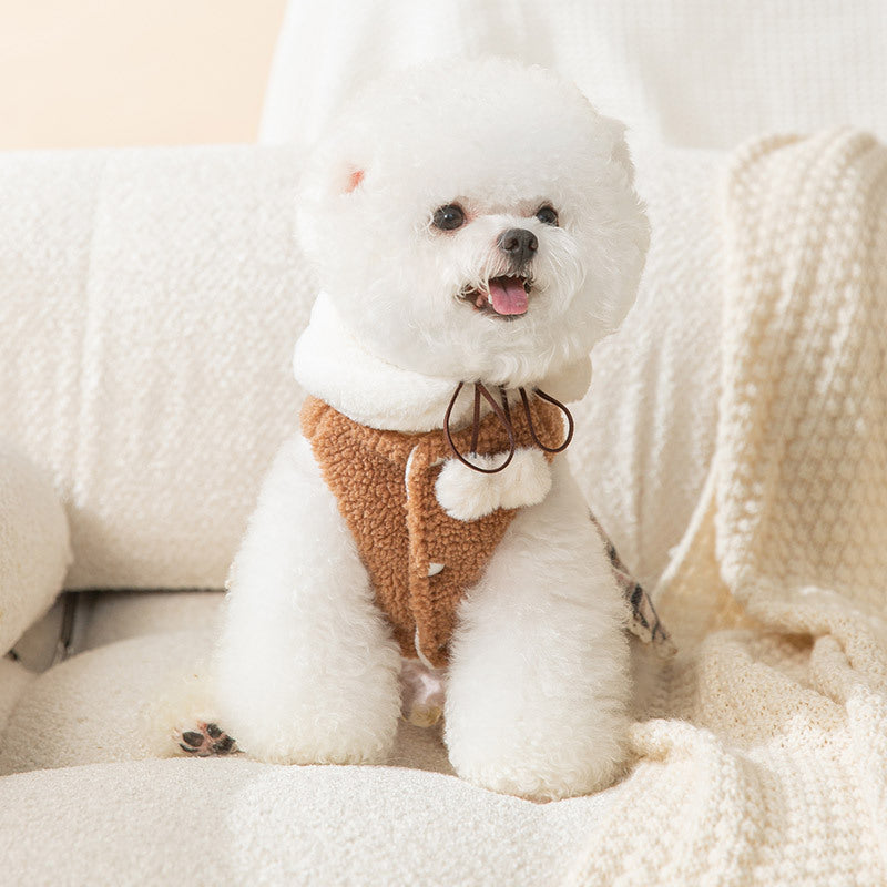 Petit chien dans une robe ourson mignonne en cachemire, assis sur un coussin confortable, sourire joyeux.