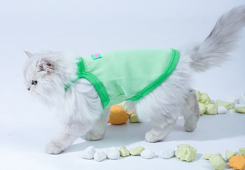 Chat portant un gilet d'été vert, idéal pour le confort et le style des animaux pendant les chaudes journées.