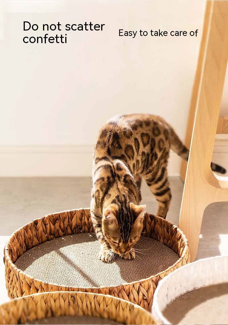 Chat jouant dans un nid en rattan conçu pour le confort et le divertissement des félins.