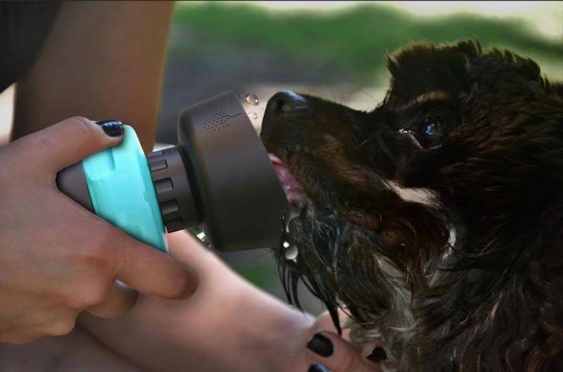 Chien buvant de l'eau à partir d'une bouteille d'eau pliable pour chien, parfaite pour les voyages.