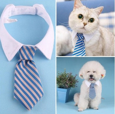 Nœud papillon rayé bleu pour animaux de compagnie, élégant pour chats et chiens, parfait pour toutes occasions.