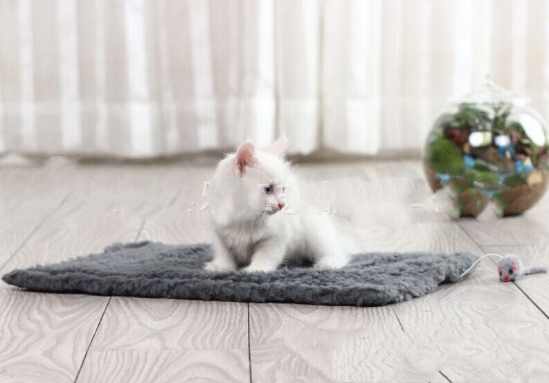 Chat jouant sur un tapis en chanvre doux avec une peluche souris, dans un espace lumineux et moderne.