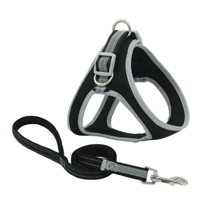 Harnais de poitrine pour animaux en nylon noir avec laisse assortie, confortable et sécurisé pour chiens.