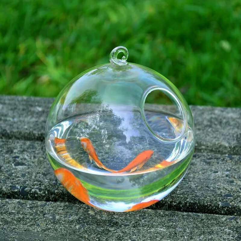 Vase à suspendre en verre avec poissons rouges, forme ronde et élégante, parfait pour un aquarium miniature.
