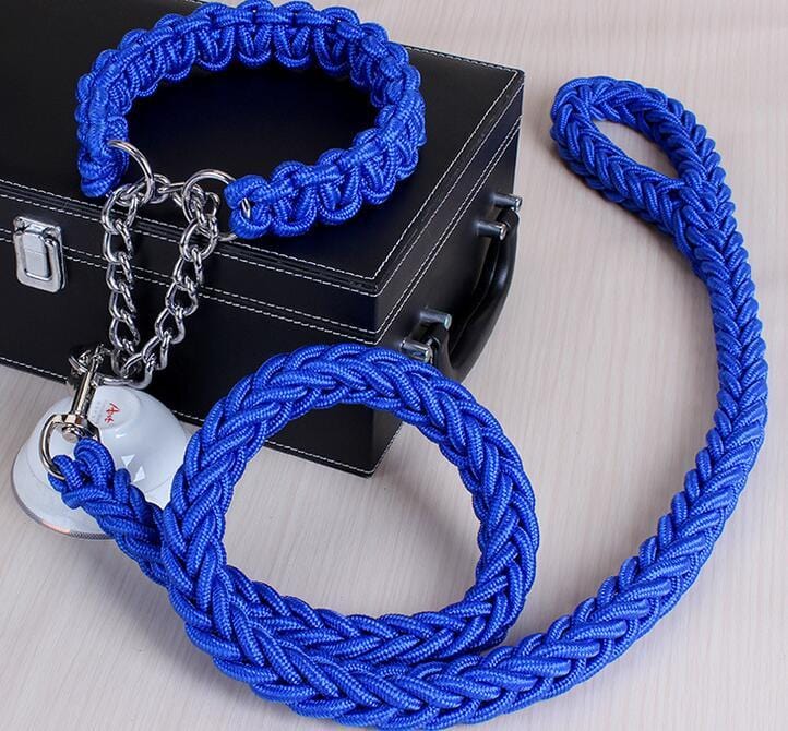 Collier et laisse pour chien en nylon bleu, design tressé avec chaîne pour un contrôle optimal lors des promenades.