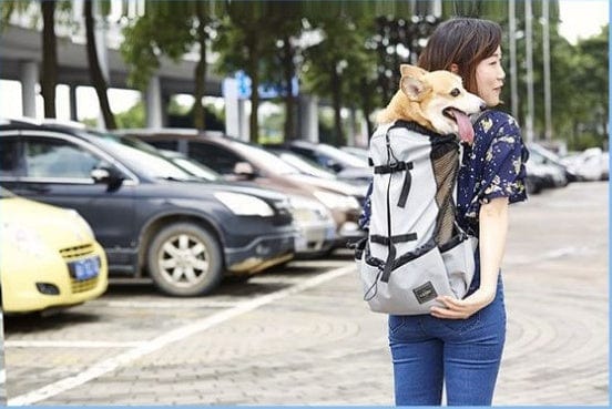 Femme portant un sac à dos ventilé avec un chien à l'intérieur, idéale pour le transport d'animaux en toute sécurité.