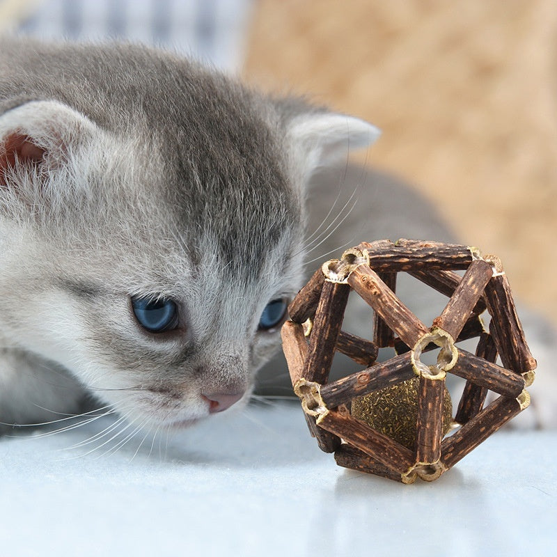 Balle en Polygonum Multiflorum pour Chats