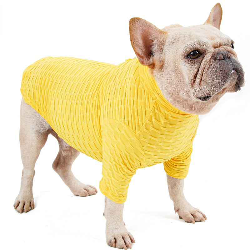 Chien français portant un T-shirt jaune confortable, idéal pour l'automne et l'hiver.