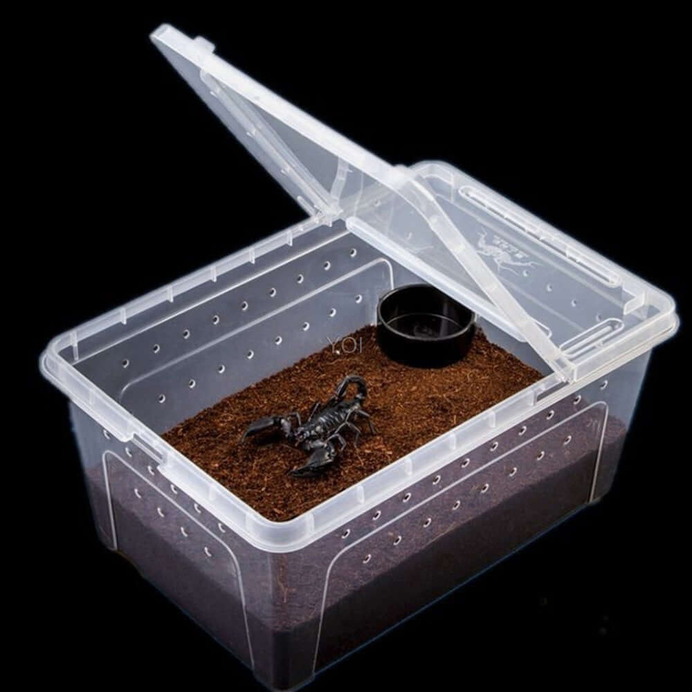 Boîte de nourriture transparente pour reptiles avec substrat et accessoire, idéale pour élever et nourrir les animaux.