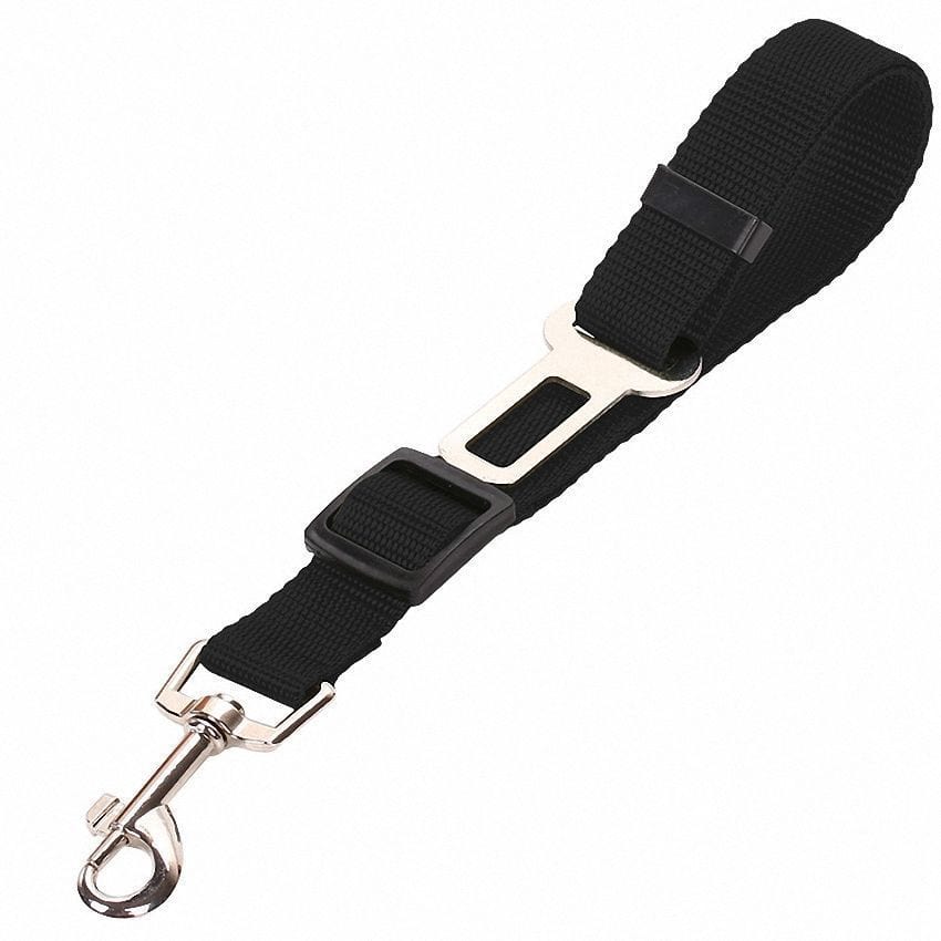 Corde de sécurité rétractable en nylon pour chien, robuste et légère, couleur noire, idéale pour les promenades.